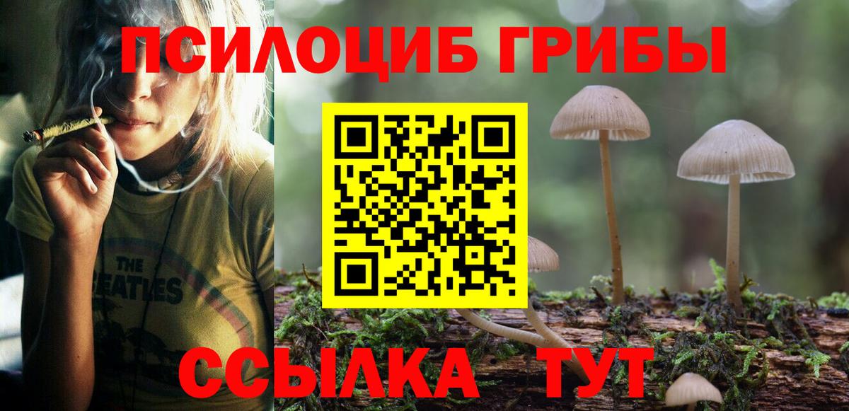 купить наркотик  Галлюциногенные грибы Psilocybine cubensis  Вход с VPN  Волжский 